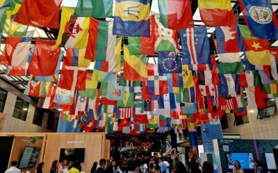 Youth, Research and Real Change: ACTLAB’s Reflections from the 2026 World Food Forum in Rome